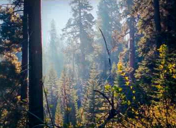 Sequoia Wild Heritage Project - Black Mountain Slate Mountain Proposed ...