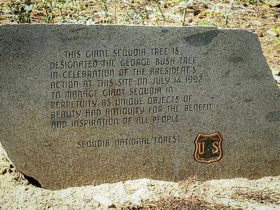 George Bush tree plaque.